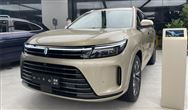 新能源汽车下乡活动开启：比亚迪海豚、五菱MINI EV全能买