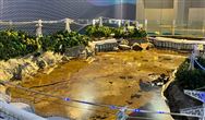 矿山智能化建设加速！全国煤矿智能化采掘工作面已经达到1300余个
