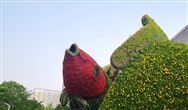 中药袋泡茶成为茶叶市场的新宠，或带动包装机市场发展