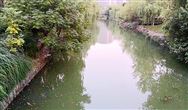 关于绍兴市柯桥区印染企业污水处理药剂供应商推荐名录库（第二批）公告