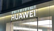能说英语会讲方言，谁创造了大运会上最特别的“志愿者”？