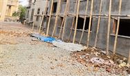 一周趣评：建筑陶瓷市场进入洗牌期；可循环包装千亿规模市场待掘金