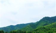超300亿！全球“锂王”又有大动作！