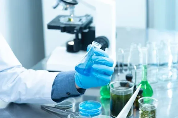 基于损失模式共振光纤传感器的增强型光谱电化学装置