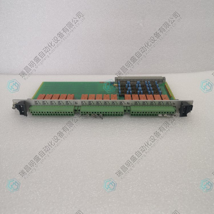  Vibro-meter200-570-101-013 VM600输入模块