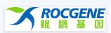新品速递|鲲鹏基因推出Archimed Mini Pro