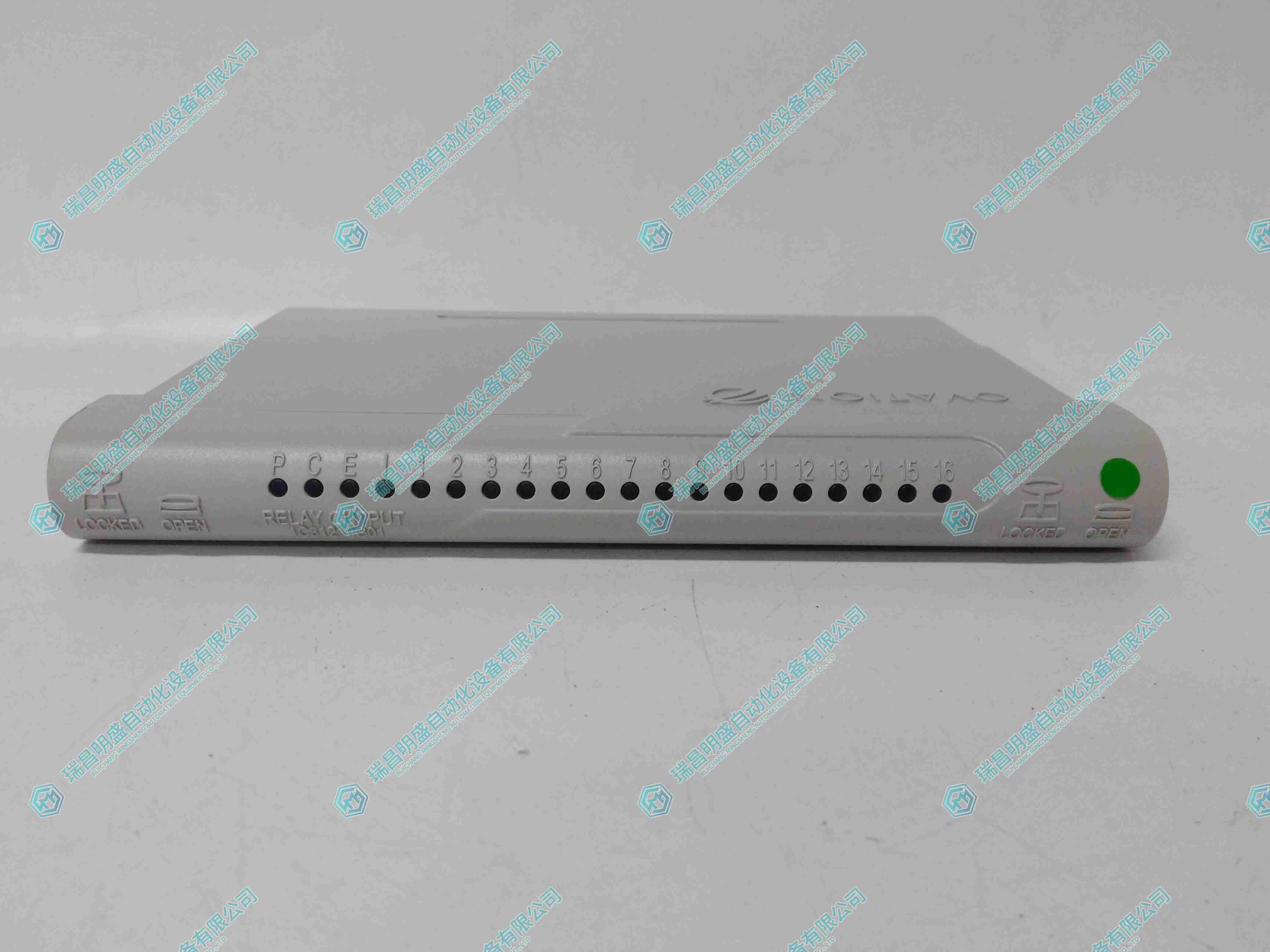 GE 1C31219G01 继电器输入模块 