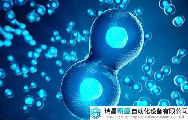 合成生物学领域的重大进步：人造细胞可在内部产生多种蛋白质