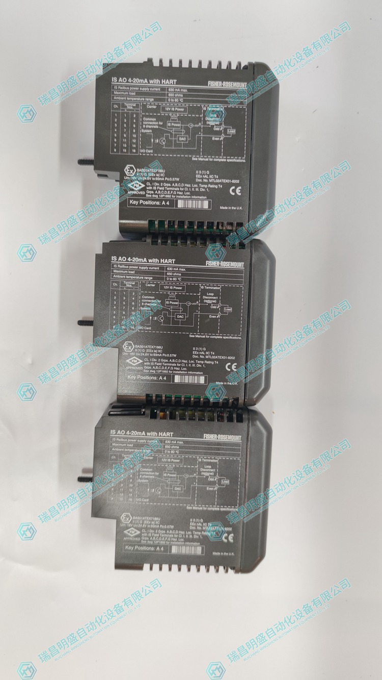 EMERSON VE4013S2B1 标准I/O接线板  