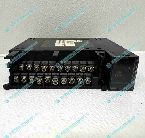 HORNER ELECTRIC HE693RTD600M输入模块