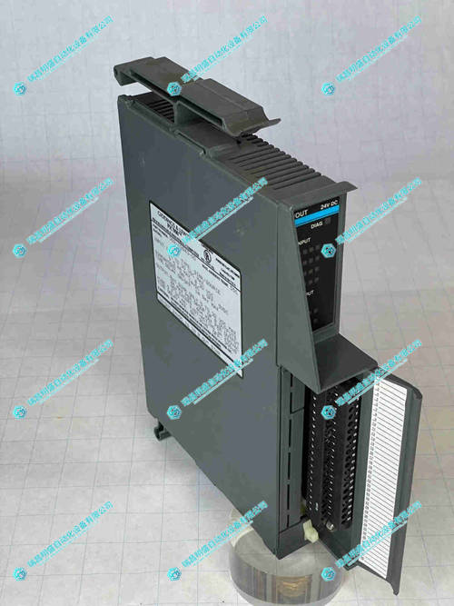 GIDDINGS & LEWIS 502-03843-00 输入输出模块