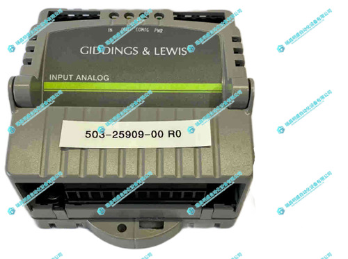 GIDINGS&LEWIS 503-25909-00输入模拟模块