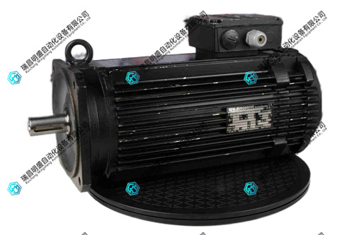 DFY112LB/TH伺服电机