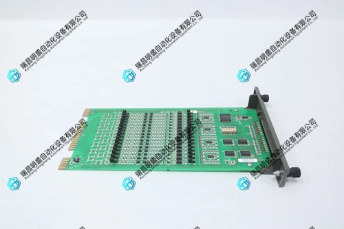 IMDSI12.webp (3).jpg