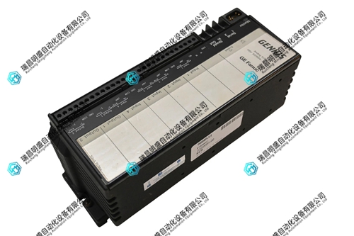 IC660TSA100电子模块 