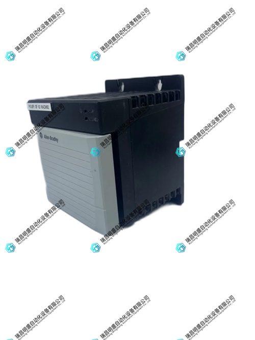 1756-PA75R.webp (2).jpg