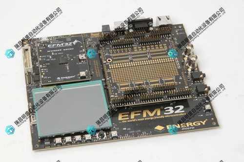 Silicon Graphics EFM32 微控制器
