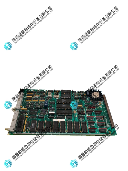 80103D-2.webp.jpg