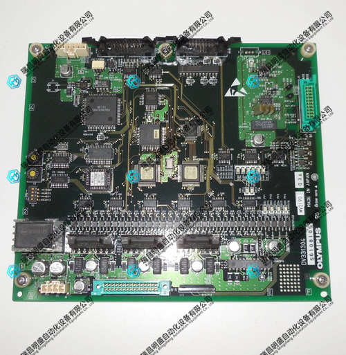 DV331304.webp.jpg
